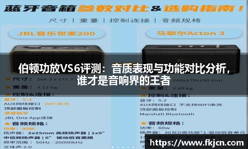伯顿功放VS6评测：音质表现与功能对比分析，谁才是音响界的王者